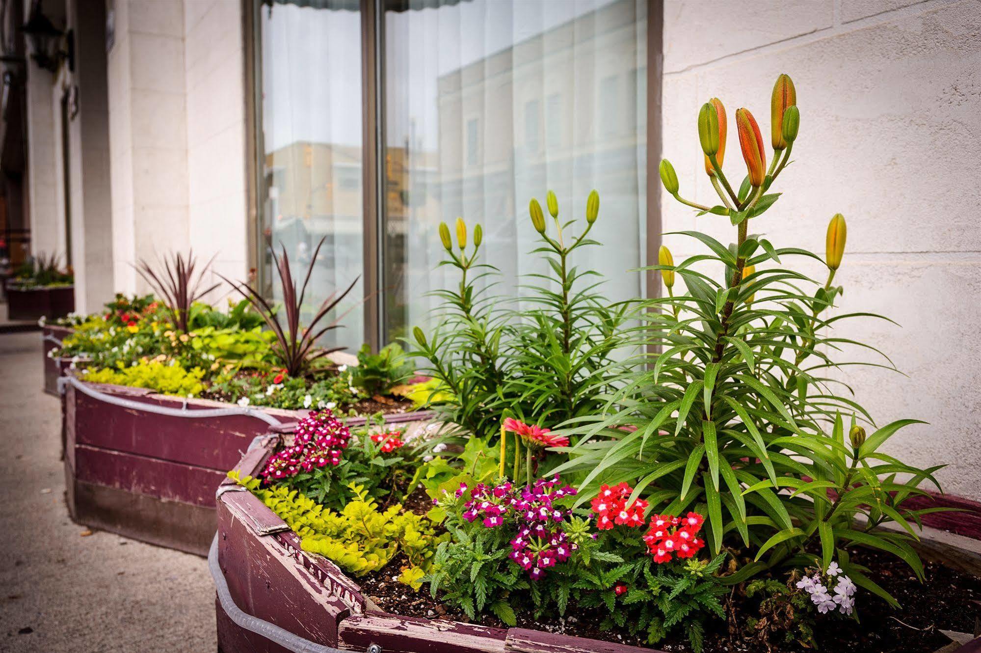Peterborough Inn & Suites Hotel Екстер'єр фото